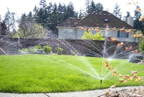 A irrigation on a home's front lawn